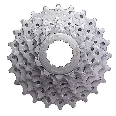 39304
