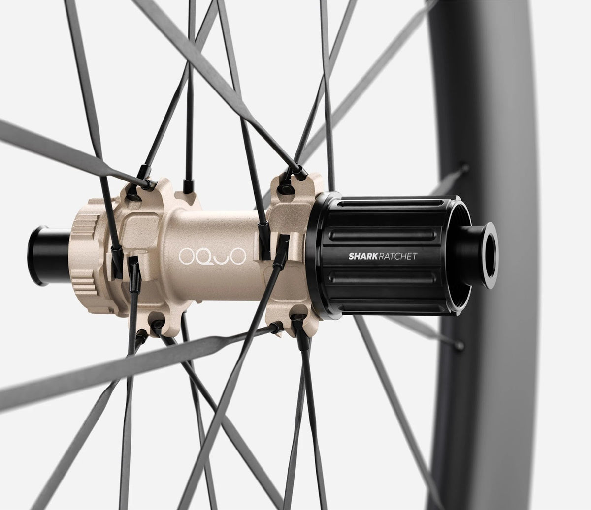 O197009S